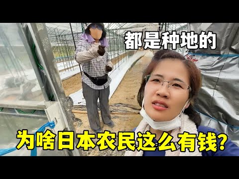 奥尔莫建功,亚马尔助力,巴萨,爱游戏app,爱游戏官网,爱游戏体育官网,爱游戏体育app